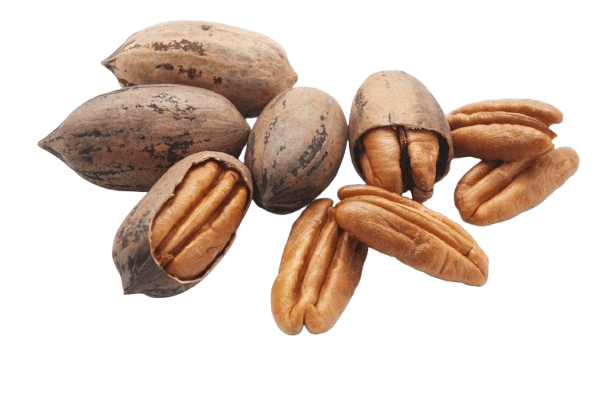 Pecans placeholder